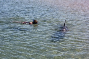 Me swimming with Numnum
