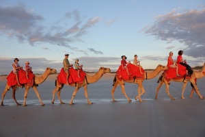 All of us on the camels